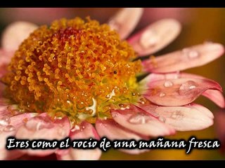 Barry White Youre the First