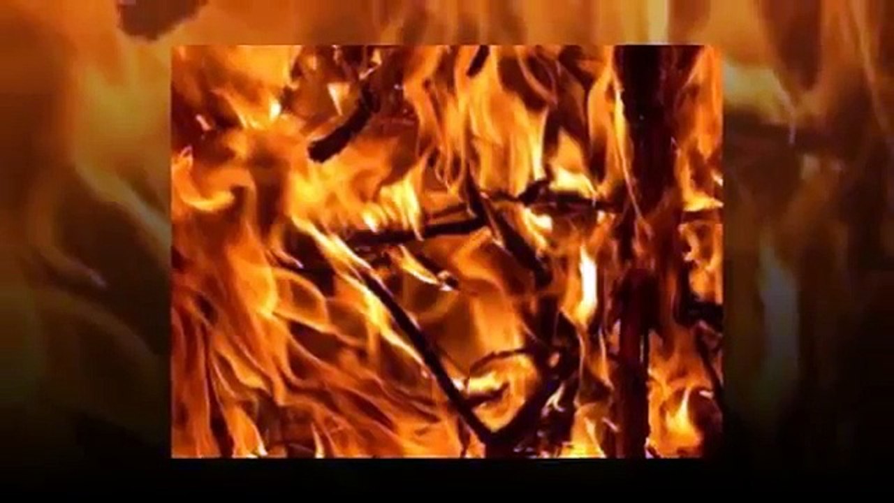 Where to find the best kindling to start a fire