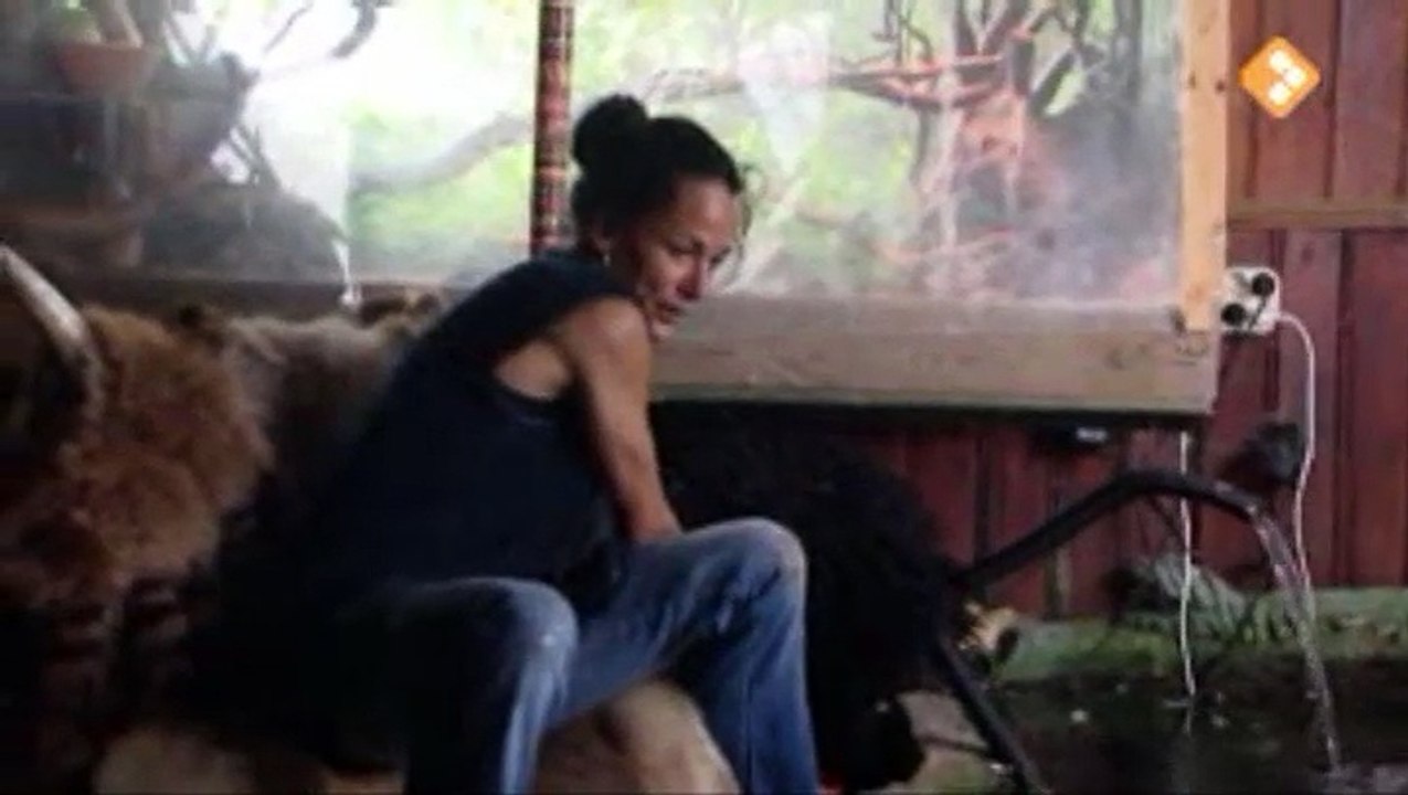 Norma Miedema & Man bijt hond - Ik leer ze een vriend te zijn,om een vriend te hebben..