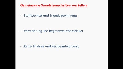 Verstehen Sie den Aufbau und die Funktionen der Zelle 🧬