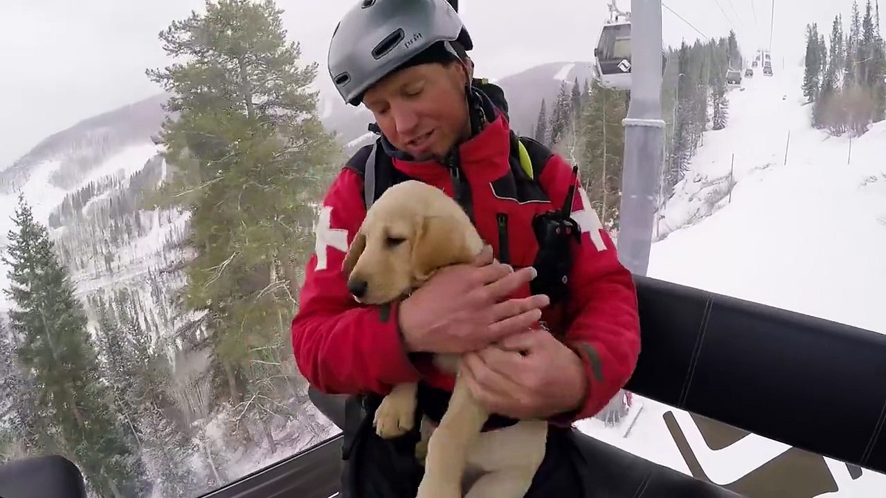 Jake est le plus mignon des sauveteurs