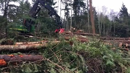 Cedarland Forest Resources- Best Timber Company Washington State