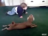 Bebek ile Köpek Emekleme Yarışı Yaparsa