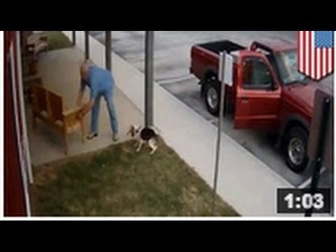 Un homme abandonne son chien attaché à une chaise