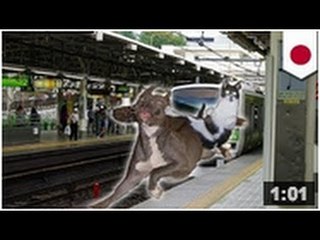 Un homme se fait pousser de la plate forme d'une station de trains