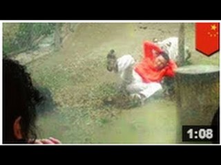 Un homme se fait attaquer et presque devorer par un tigre, parce qu'il...