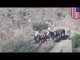 Brutalna policja: podejrzany ucieka na koniu i zostaje pobity przez policjantów