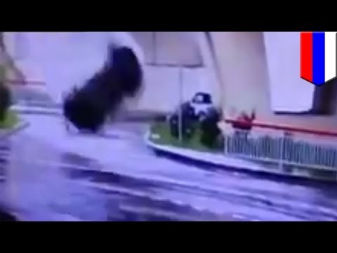 Samochód spada z wiaduktu, kierowca wychodzi cało z okropnego wypadku