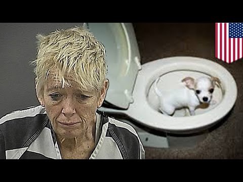 Kobieta utopiła szczeniaka w toalecie, bo nie mogła go zabrać na pokład samolotu