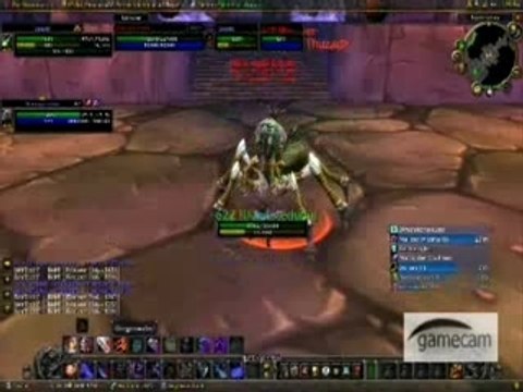 Naxxramas rogue druid