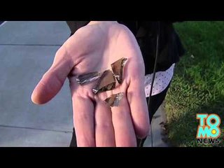 窓ガラス突き破り、100針縫う