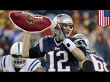 Patriots deflategate: New England being investigated for small balls in AFC title game