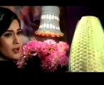 Veena Malik and ASIF Scandal