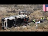 Prison bus-train crash: 10 dead after Texas bus skids off icy road, collides with freight train