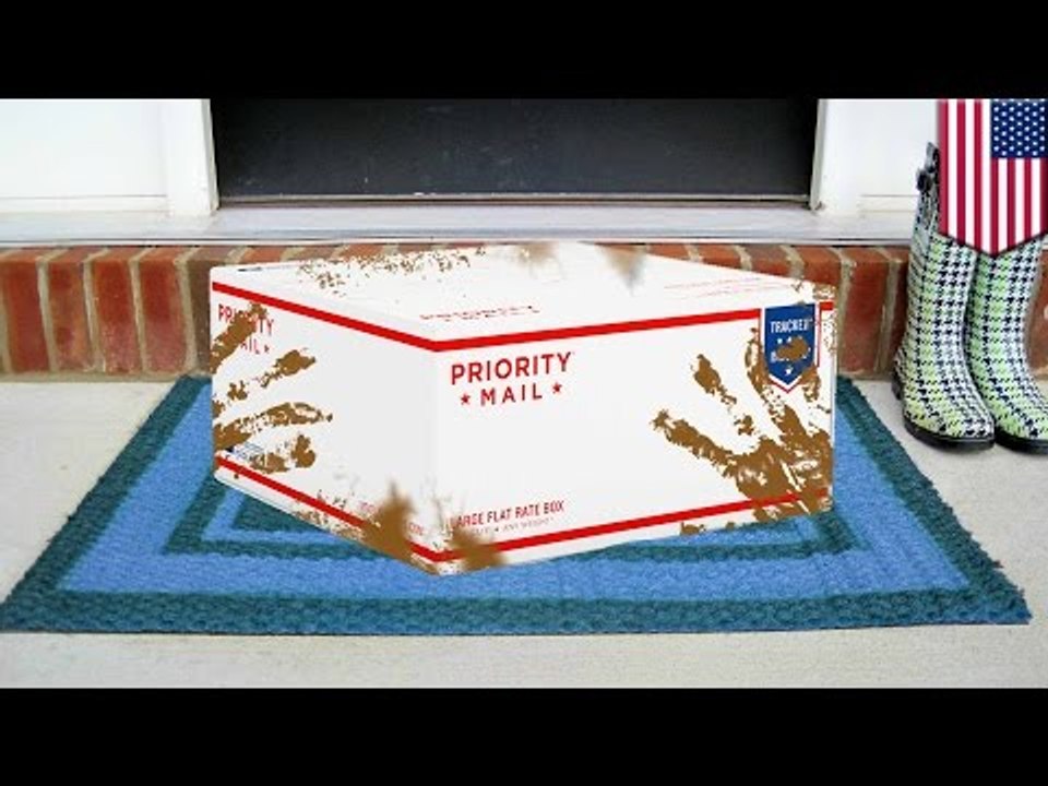 Cow poop prank: woman charged after mailing neighbor cow doodoo as part of four-year feud