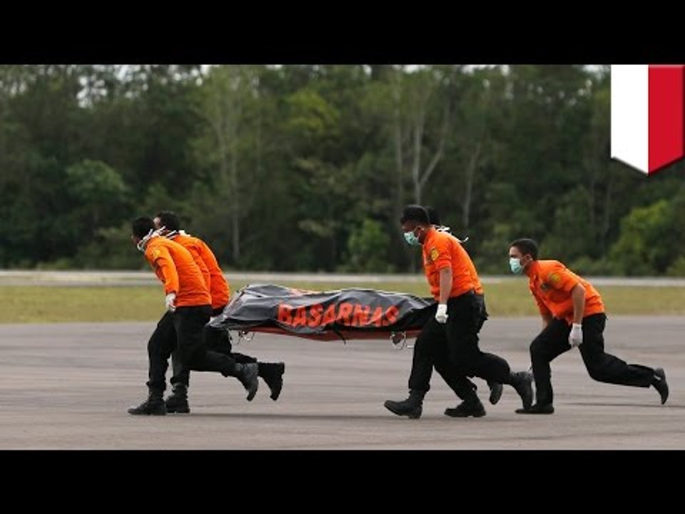 AirAsia QZ8501: sonar detects missing plane wreckage on seafloor