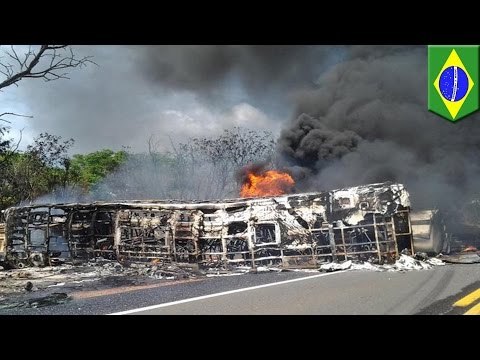 Brazil accident: Transbrasiliana bus collides with tanker truck, killing at least seven