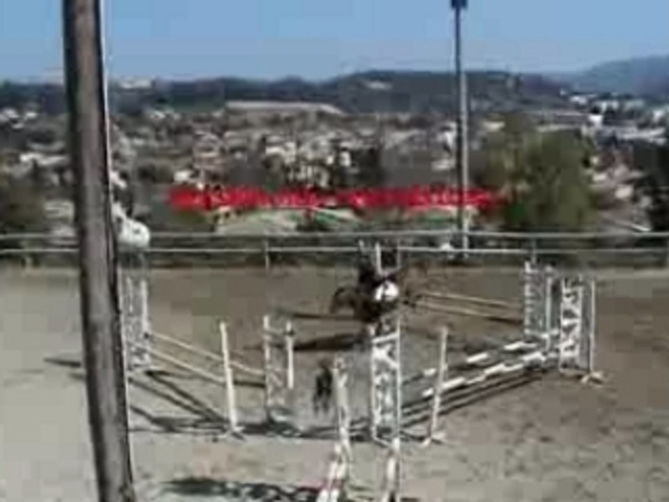 marseille D3P 2ième