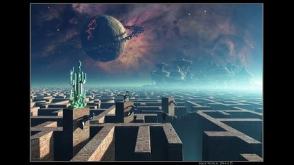 Stray Hawk. Digital Maze