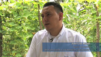Del Huerto Escolar a la Alimentación y Salud Escolar