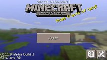 Minecraft PE 0.11.0 Apk Download Gratis !!!