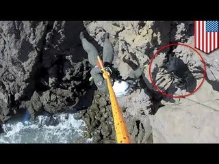 Helicopter rescue team, ginamit sa pagligtas sa isang aso, sa Sonoma County, California!