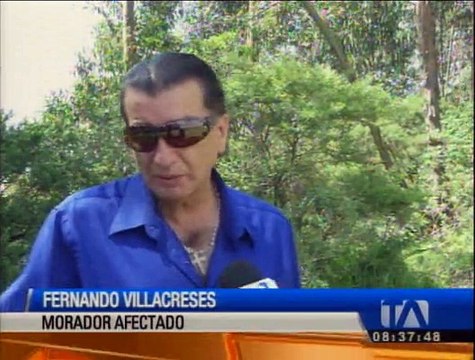Árboles ponen en riesgo la vida de los moradores de Cotocollao