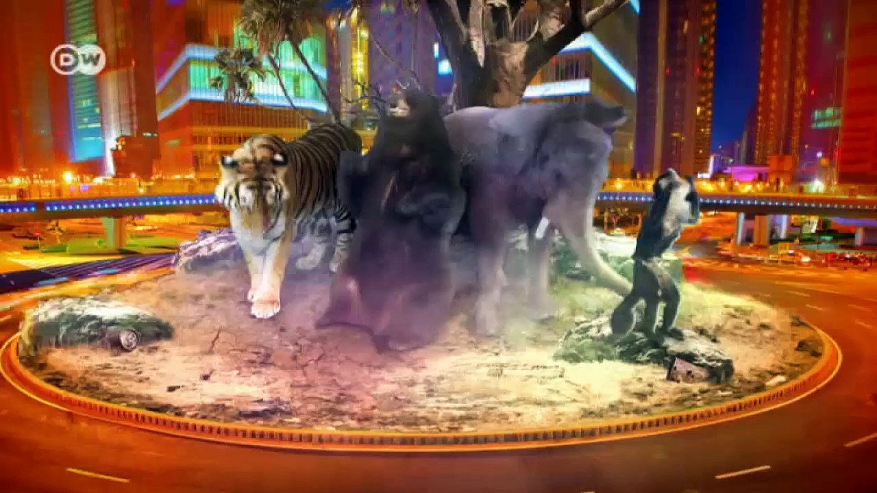 Im Auge des Tigers | Global Ideas