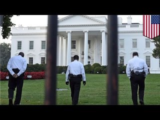 White House security alert: Secret service agent was on his phone during intrusion