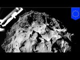 Rosetta mission: Philae probe makes historic landing on comet 67P after decade-long chase