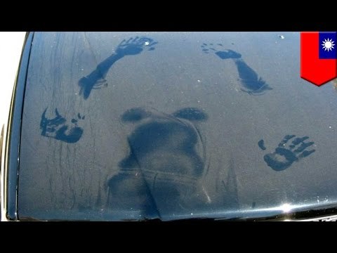 Busted: Cheating spouse caught sexting lover and taken to court