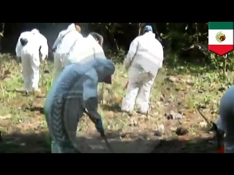 Gang member confessions lead to recovery of student remains