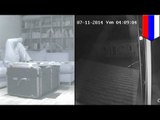 Spy cameras: how hackers turn your security cameras into live feeds anyone can see