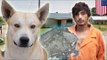 Dog betrays meth-head owner by leading police straight to his Alabama hiding spot