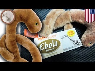 Ebola toy ‘selling like hot cakes’: toy company Giantmicrobes can’t keep up with demand