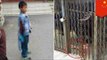 Bear attack rips off Chinese boy's arm after failed feeding attempt at zoo in Henan province