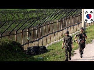 DMZ standoff: North Korea and South Korean troops exchange gunfire at the border