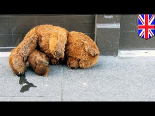 Meth tweaker rapes teddybear, arrested due to DNA evidence