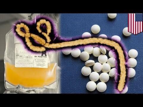 Ebola treatments: pills and plasma transfusions the answer to fighting Ebola?