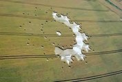Crop Circle Forming | UFO | Flying Saucer | Serpo | OVNI | Area 51 | ET