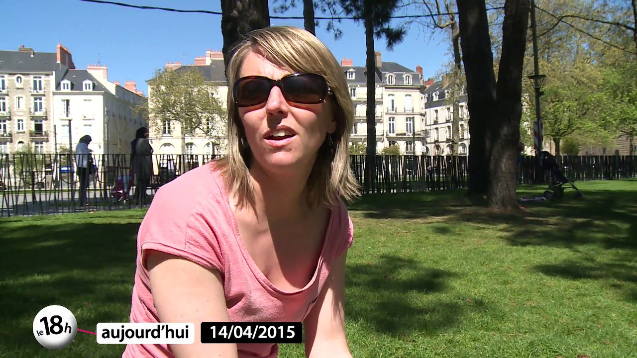 Inferno à Stéréolux / Plantes préhistoriques