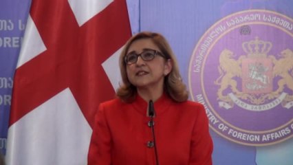 Danimarka, Polonya ve İsveç'ten Gürcistan'ın AB Üyeliğine Destek