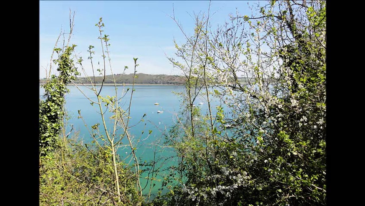 2015-04-14 Langrolay côté Rance côté terre