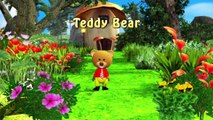 Muffin Songs - Teddy Bear   | nursery rhymes & children songs with lyrics
