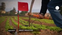 euronews innovation - نظام الرى الذكي لتوفير المياه و خدمة المزارع