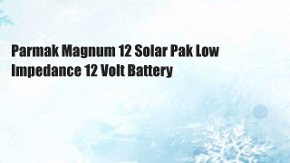 Parmak Magnum 12 Solar Pak Low Impedance 12 Volt Battery