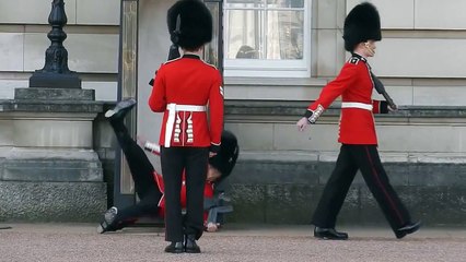 Tourists Watch New Palace Guard Eat Pavement