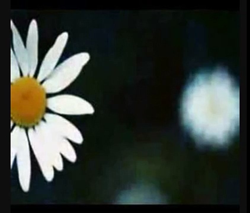 Yunus Emre Şiirleri - Ben Dost İle Dost Olmuşam