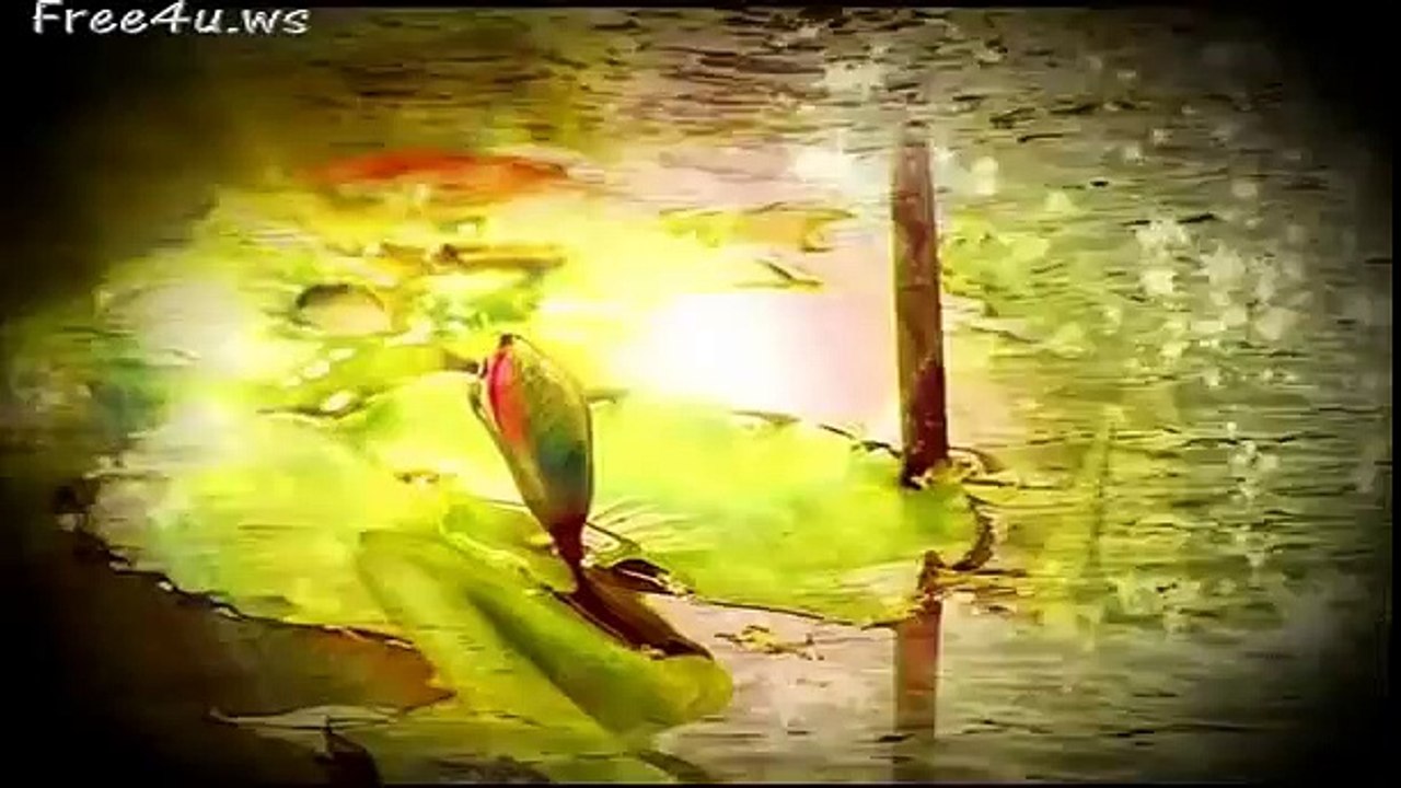 霎時感動_One From The Heart——《醫生，醫心》沈祖堯