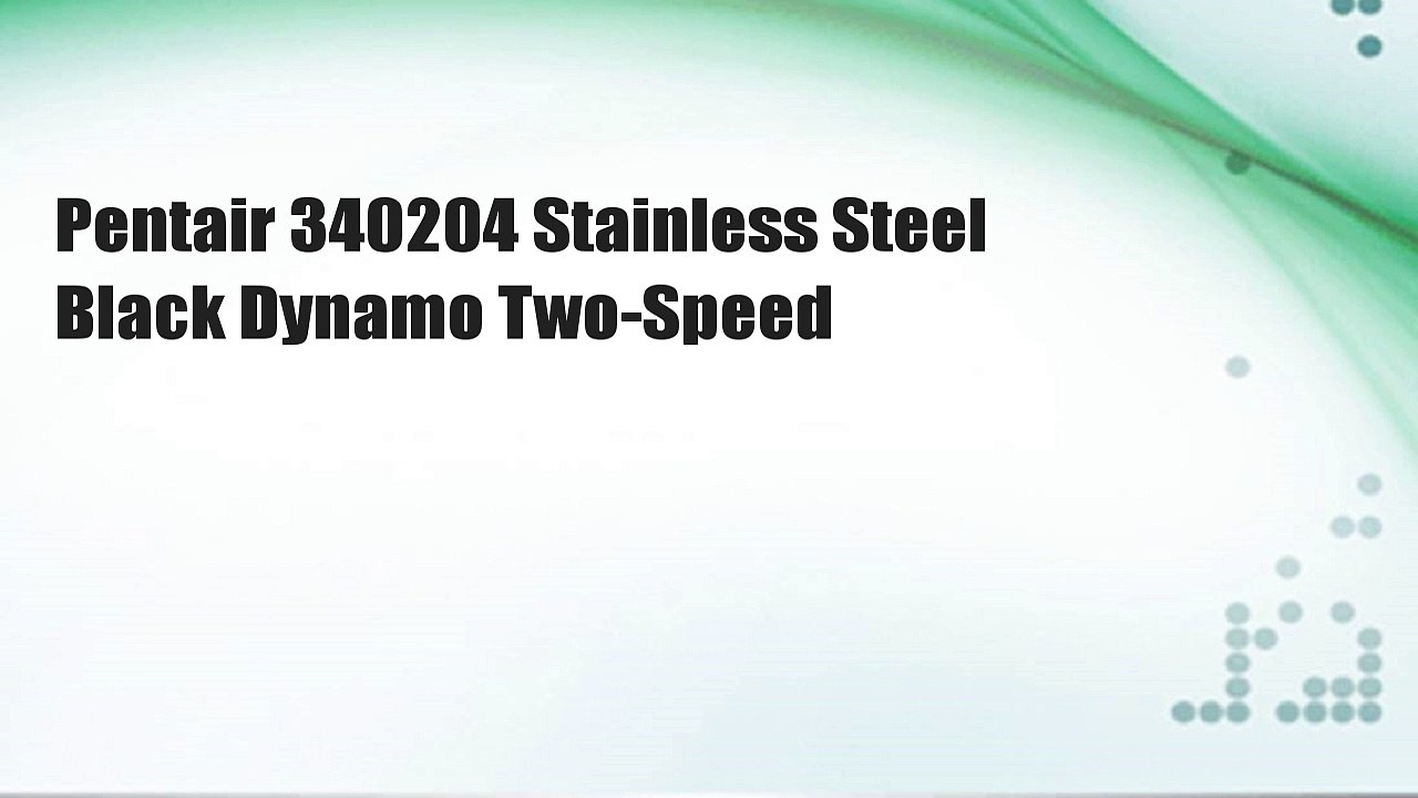 Pentair 340204 Stainless Steel Black Dynamo Two-Speed